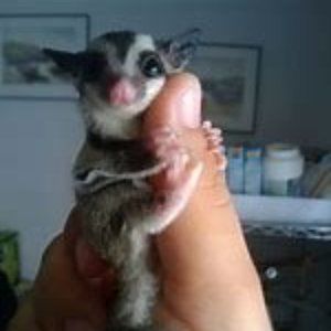 Meet your Posher, Maggie